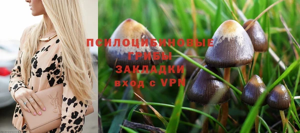 не бодяженный Алексин