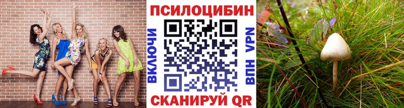 Псилоцибиновые грибы ЛСД  Брянск 