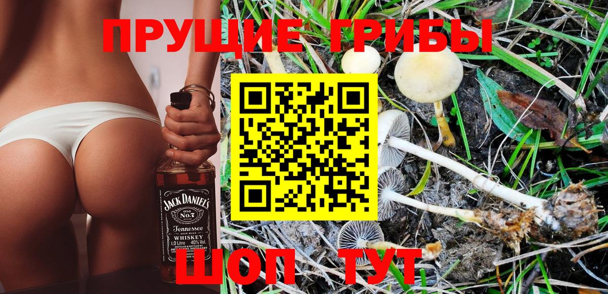 Псилоцибиновые грибы ЛСД  Галлюциногенные грибы MAGIC MUSHROOMS  Брянск  Вход с VPN 
