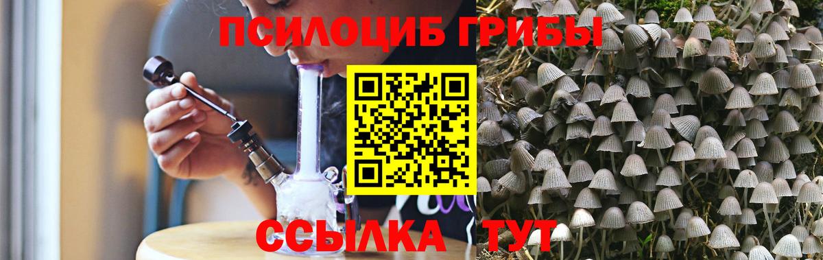 Псилоцибиновые грибы прущие грибы Брянск